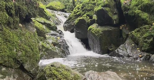 North Bay watersheds see major boost from record storm
