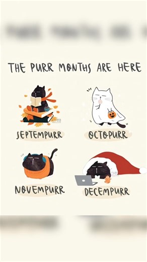 The secret healing power of a cat's purr. 🔊 #CatPurrs #HappyCat | Cat Lovers Club