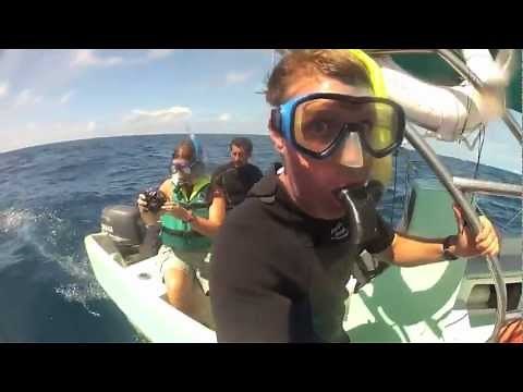 Swimming With Whale Sharks Tour in Holbox, Mexico