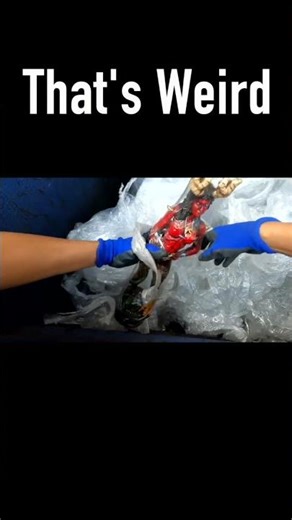 We Found Something Evil in a Dumpster