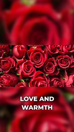 Release the Past: Become a Magnet for Love!