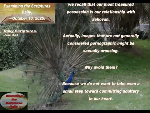Examining the Scriptures Daily—October 10_ 2025