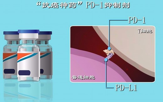 PD-1：PD-1绝密档案