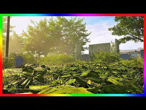 The Division 2 Best Graphics Filter (Make Division 2 Like Amazing)