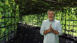 1.1K views · 24 reactions | Two weeks ago, we announced a new video series called The JCI Impact Factor! We're showcasing people working in their communities at the local level on grassroots projects to further #SustainableDevelopment by living out the JCI Mission. Matt has created a tips video to help those wanting to submit their stories to us! #ImpactFactor Apply today: https://goo.gl/forms/GFWAtemelfdX2Bg52 | JCI | Facebook