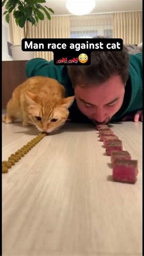 Man races against cat in eating🏎️🏎️😳 #catfails #funny #catvideos #shorts #usa #deutsch #english