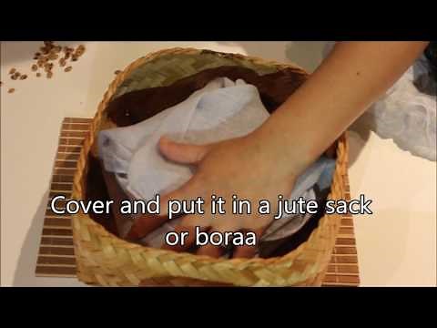 How to make Fermented Soybeans