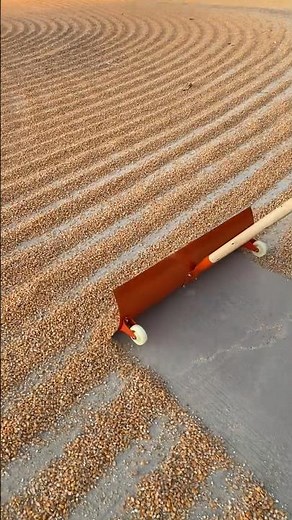 Amazing Farming tools in Action 🚜💥 | JUST KD Agriculture | Part 1751