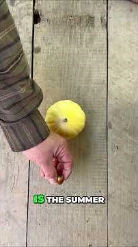 Understanding the Winter Solstice: Earth's Dance with the Sun