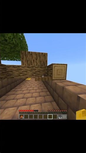 Minecraft Temple Run Moment #minecraft #shorts