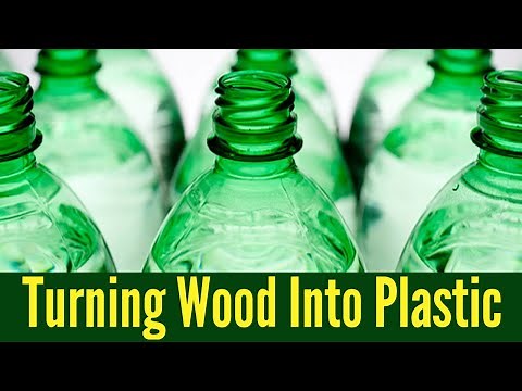 Turning Wood Into Plastic | Lignocellulosic Bioplastic