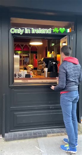 Irish Humor Compilation: Only in Ireland 🍀💚🇮🇪