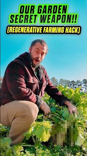 The secret weapon for clay soil