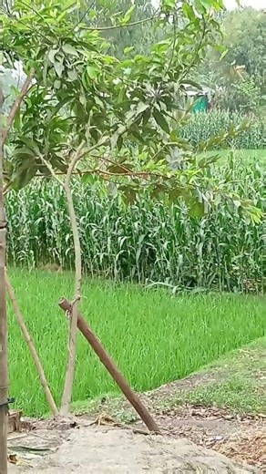 খুদা আমি এক বান্দা #jannahcalling #vlogsong #unfrezzmyaccount #youtubemusic