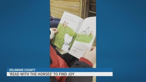 Ohio organization supports childhood reading with horses | Haystack News