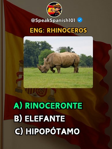 Beginner Spanish Language Words for Daily Use