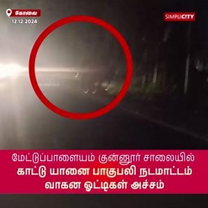 7.3K views · 35 reactions | Wild Elephant 'Baahubali' Crosses Road Near Kallar, Causes Panic Among Drivers #coimbatore #simplicitynewscoimbatore #tirupur #nilgiris #pollachi #palladam #mettupalayam #viral #simplicitynews #simplicity #news #video #coimbatorediaries #coimbatorenews #kovai #kovainews #wildelephant #baahubali #elephant #kallar #panic | SimpliCity News: Coimbatore | Facebook