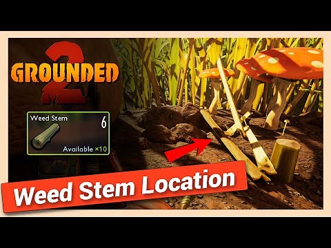 How to Get Weed Stem in Grounded 2 | Quick Location Guide