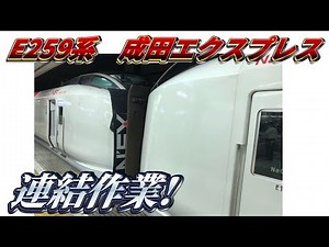 成田エクスプレスの連結作業