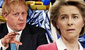 EU-UK relations have been ‘bumpy’ since Brexit says Frost