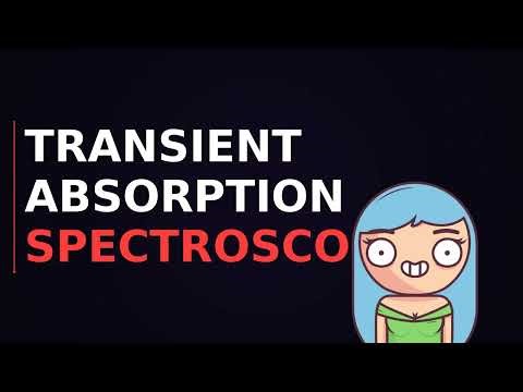 How birds see magnetic fields using quantum mechanics