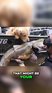 The size of this catfish was UNREAL 😲 | Jiggin' With Jordan