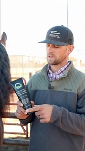 We showed you last week how to condition the tail. Now, here is how we do the horse’s mane. #horses #equine #haircare #conditioner #tips | BioMane Products