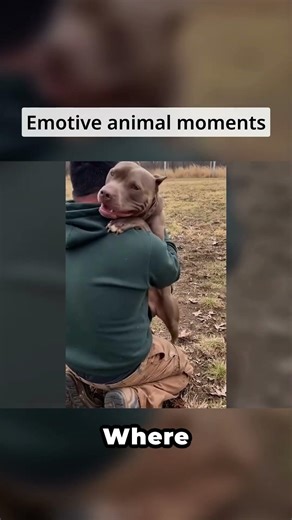 Emotive animal moments - Subscribe for more of these! 😃