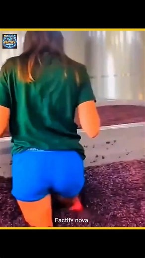 Traditional way of making grapes wine 🍇🍷| #facts #fadas