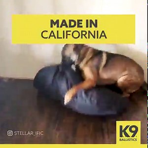 2.5K views · 855 reactions | Looking for a dog bed that lasts a...