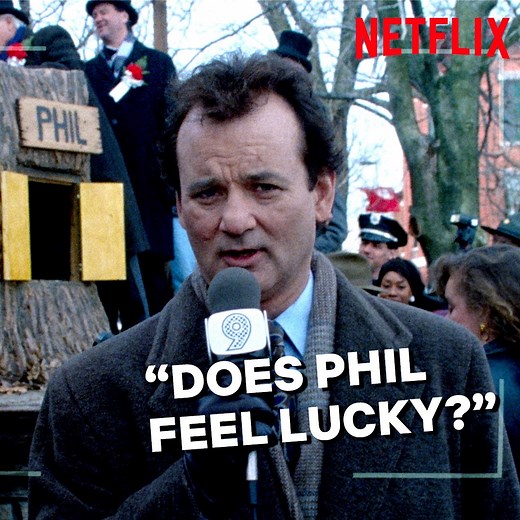 It's Groundhog Day! Why not watch Bill Murray do similar things repeatedly until Punxsutawney Phil decides Winter is over? | Netflix