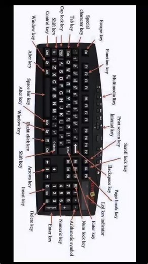 Keyboard...⌨️#Ms word shortcut KeyboardMS Word Short Cut Key || Excel Tips Tricks II Digital#viral