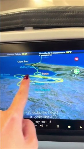 Watch: Turkish Airlines Flight 'Starts To Plummet' While Landing In Tunisia