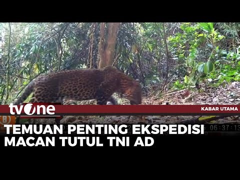 Ekspedisi Macan Tutul TNI AD Mencatatkan Hasil yang Memuaskan | Kabar Utama tvOne
