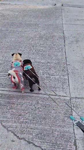 Alfredo Toledo on Reels