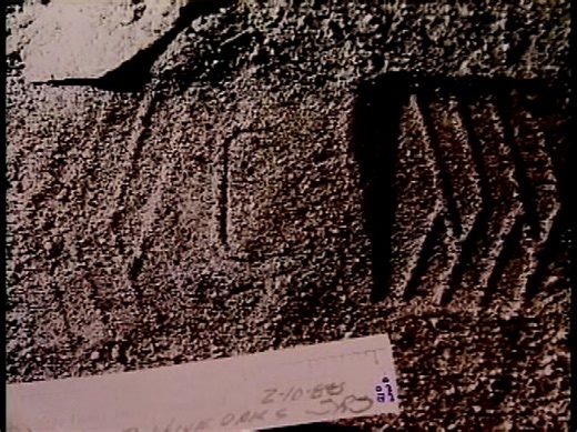 18K views · 345 reactions | Forensic Files Insect Clues 3 | Forensic Files 2024 | Facebook