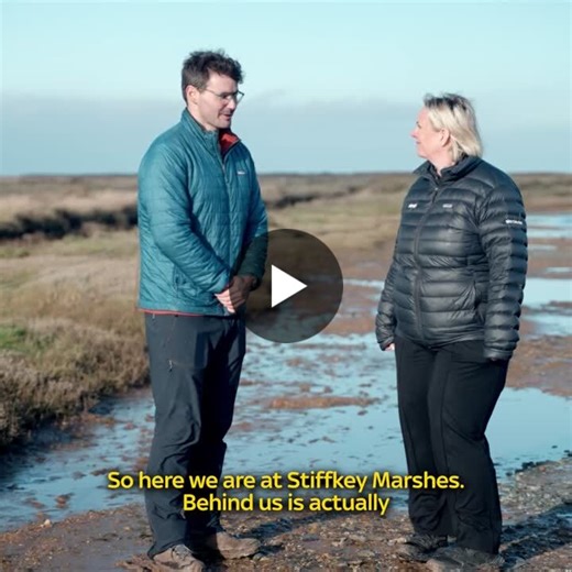 Saltmarshes provide the backdrop to Sky s exciting new crime series Under Salt Marsh. But how much do you know about this marvellous, muddy habitat? We’ve been working in partnership since 2009 to… | WWF-UK