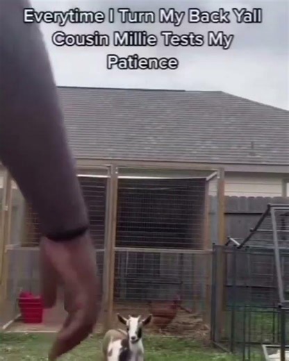 Credit _ thelegendaryceo_ What is your favorite shirt_ 헦헛헢헣 헡헢헪 헟헜헡헞 헜헡