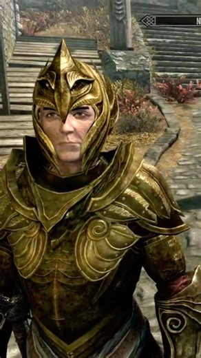 Skyrim-Steel Plate Vs Elven Armor Visual