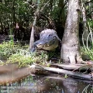 772K views · 3.1K reactions | BACK UP! One woman had a very close...