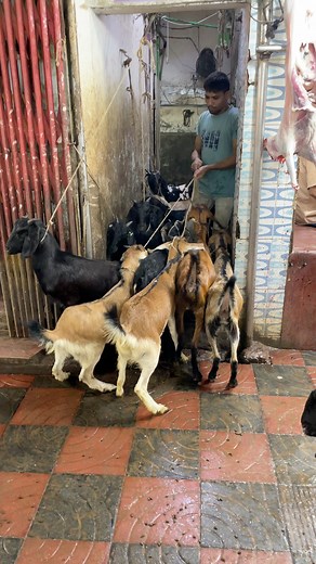 387K views · 3.1K reactions | Goats Processing | BD Fish | Facebook