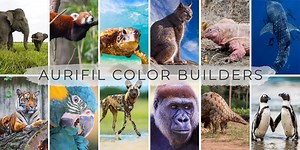 5.5K views · 56 reactions | GIVEAWAY: The 2021 Aurifil Color Builders...