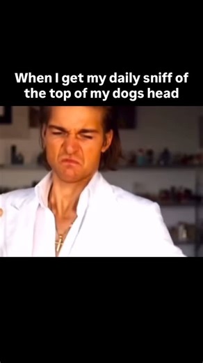 It’s like a drug, but better All jokes aside even if your dog has that unmistakable “dog smell” that others might wrinkle their nose at, to you it’s pure comfort. It’s the scent of warm fur after a nap in the sun, the faint trace of grass from your last walk, and the familiar presence that makes your house feel like home. That smell is tied to countless happy moments belly rubs, silly play sessions, quiet evenings together and your brain registers it not as unpleasant, but as yours. It’s the sce