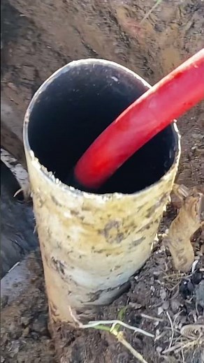 What Does The Inside Of A Distribution Box Look Like For A Septic System?