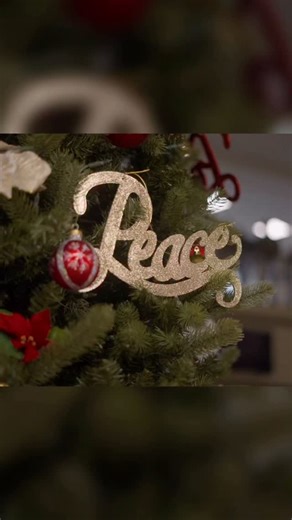 United States Army Reserve on Instagram: "Merry Christmas and Happy Holidays! 🎄 A holiday message from @chiefofarmyreserve, @armyreserve_csm, and Chief Warrant Officer 5 White, thank you for all you do. 🎁"