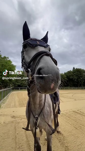 Urlaubspläne: Training statt Meer