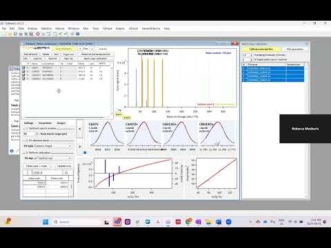 Part 4 Theme 15: UMR Workflow - Mass Calibration