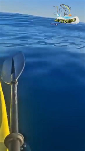 Esto se salió de control 🌊😳😅 #javifishing #fishing #Kayak #olas #loscabosmexico #pesca