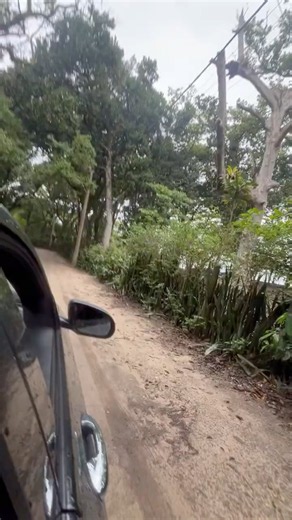 Natureza, paz e tranquilidade na praia de Santiago em São Sebastião SP ✌️🏖️