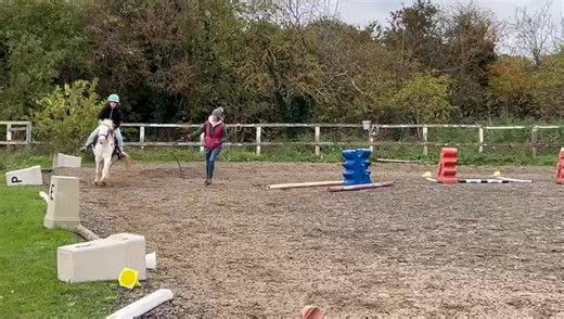 Peachy having her first canter under saddle today! Utilising having the big child off school. Peach has been quietly ticking away with the small child, hacking and messing about and done afew leadrein lessons. But shes got suddenly abit more chubby and her personality is coming through. So I've been working her on the long lines/ lunge getting her more forward and responsive and starting some canter work in the arena. I think as she's been driven she had abit of a block with ridden canter. Peach